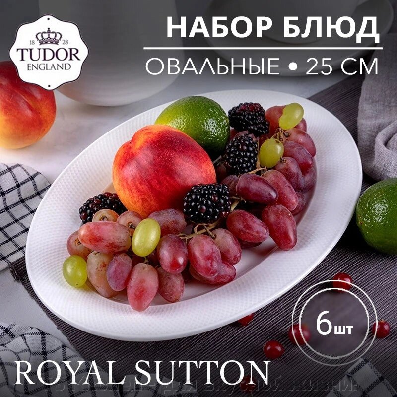 Блюдо овальное 25 см Royal Sutton TU1045-2 (набор 6шт) TUDOR от компании TS Kitchen - для вкусной жизни! - фото 1