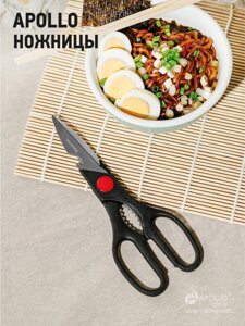Ножницы APL-10/APOLLO в Алматы от компании TS Kitchen - для вкусной жизни!