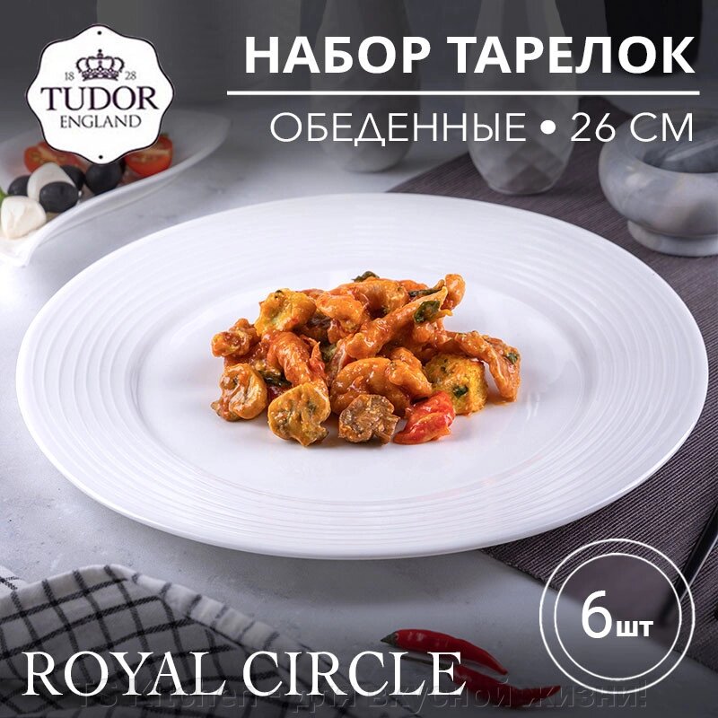 Тарелка обеденная 26 см Royal Circle TU2035-2 (набор 6шт) TUDOR от компании TS Kitchen - для вкусной жизни! - фото 1