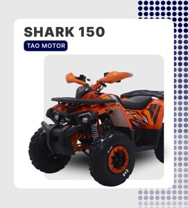 Квадроцикл TAO MOTOR ATV SHARK 150