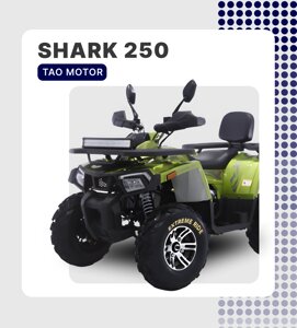 Квадроцикл TAO MOTOR SHARK 250