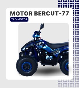 КВАДРОЦИКЛ TAO MOTOR BERCUT-77