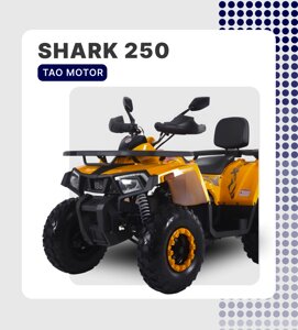 КВАДРОЦИКЛ TAO MOTOR ATV SHARK 250