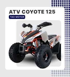 КВАДРОЦИКЛ TAO MOTOR ATV COYOTE 125