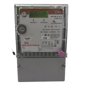 Счетчик электроэнергии Матрица NP73E. 2-12-1 (I-2Rs-T-Y 2-29-1 FSK)