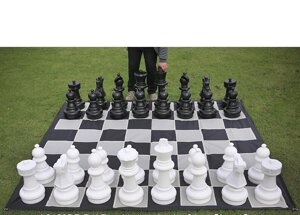 Отдельные шахматные фигуры КШ-25