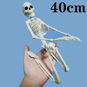 40 См активная модель человеческого скелета, медицинское обучение, анатомия, модель скелета, украшение для