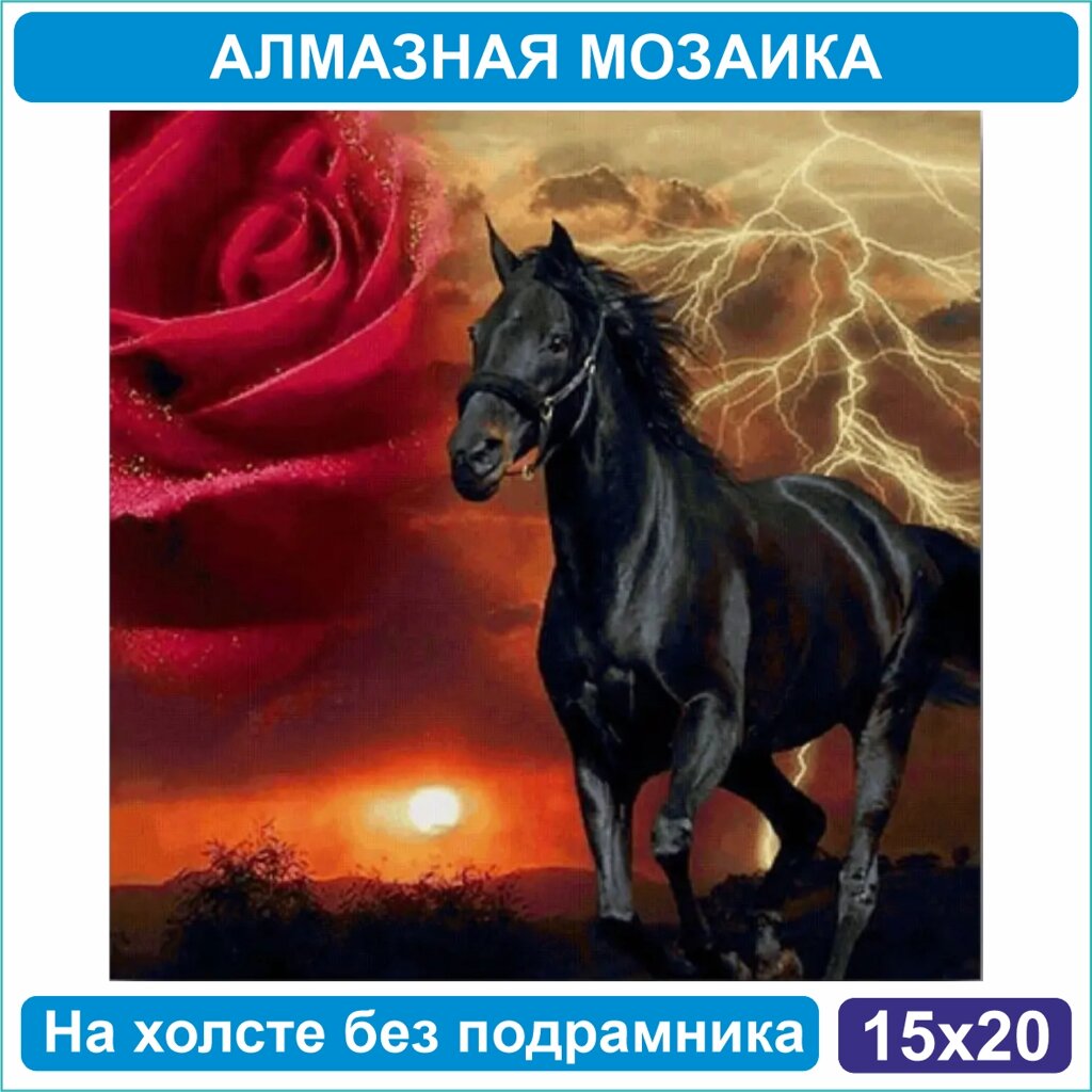 Алмазная мозаика "Черный конь" (15х20 без подрамника) от компании L-Shop - фото 1