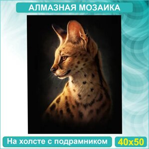 Алмазная мозаика "Дикий кот"40х50 с подрамником)