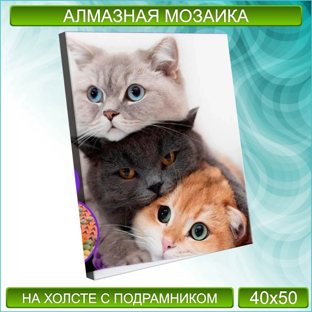 Алмазная мозаика "Кошачья любовь. Котики" (40х50 с подрамником) от компании L-Shop - фото 1