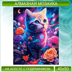 Алмазная мозаика "Космический кот"40х50 с подрамником)