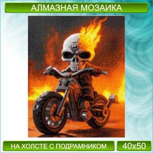 Алмазная мозаика "Призрачный гонщик"40х50)