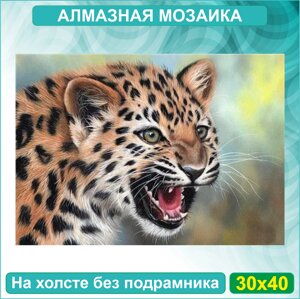 Алмазная мозаика "Рычащий леопард"30х40 Без подрамника)