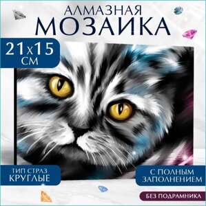 Алмазная мозаика "Серый котенок"15х21 без подрамника)