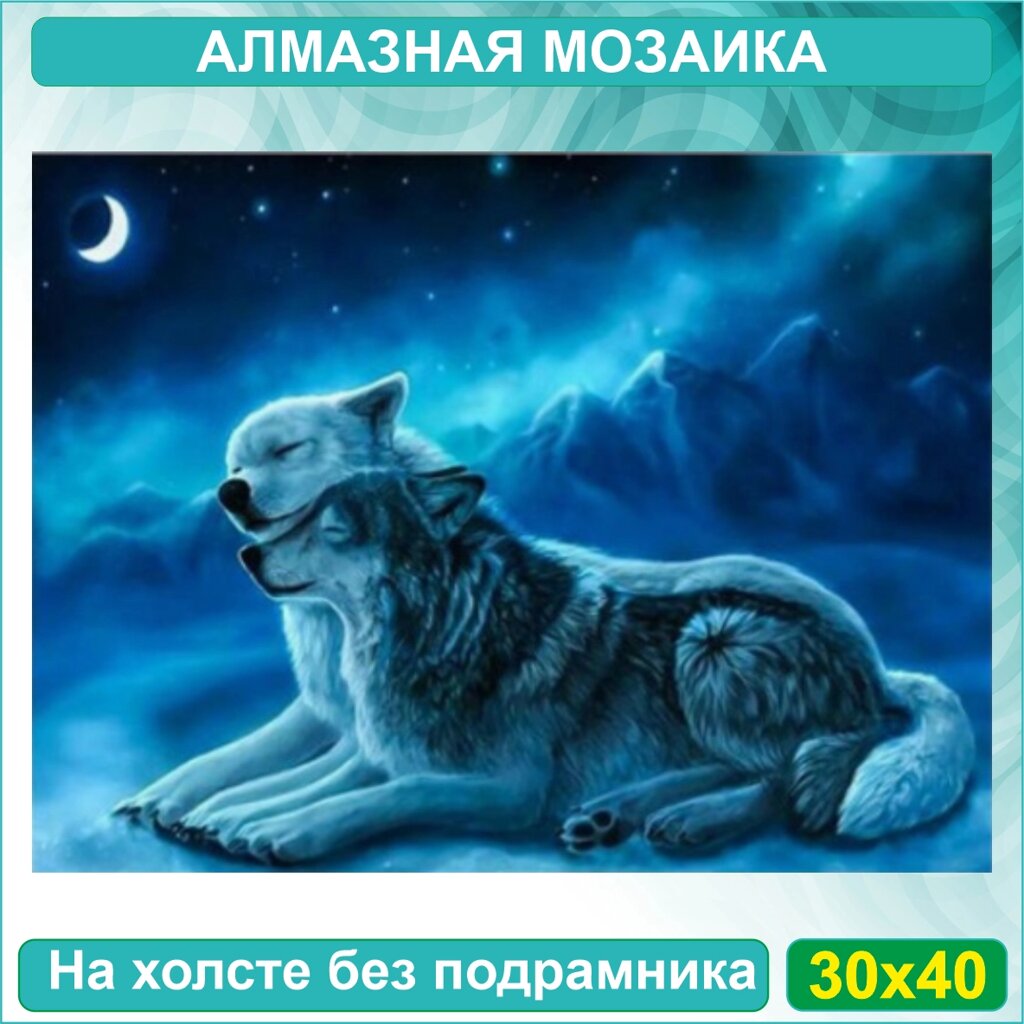 Алмазная мозаика "Волк и волчица под луной" (30х40 без подрамника) от компании L-Shop - фото 1