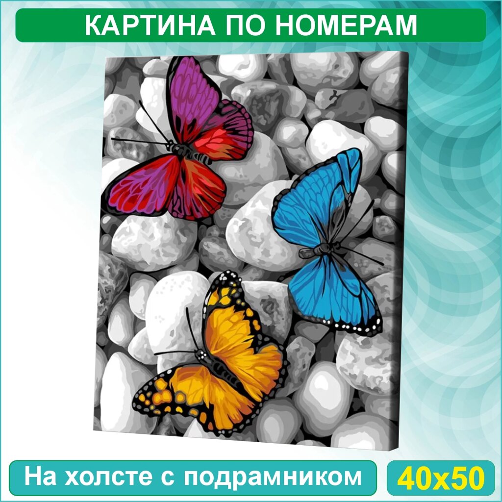 Картина по номерам "Бабочки на камнях" (40х50) от компании L-Shop - фото 1