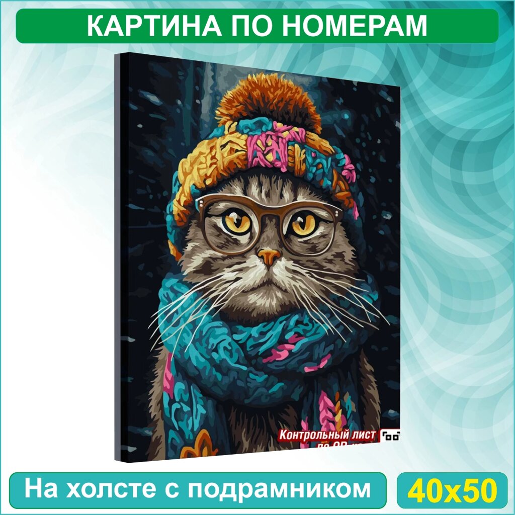 Картина по номерам "Кот в зимнем прикиде. Время утепляться" (40х50) от компании L-Shop - фото 1