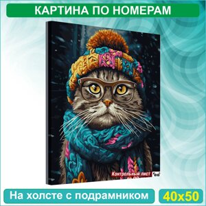 Картина по номерам "Кот в зимнем прикиде. Время утепляться"40х50)