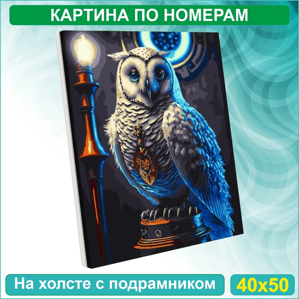 Картина по номерам "Сова Гарри Поттера - Букля" (40х50) от компании L-Shop - фото 1