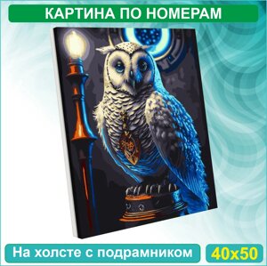 Картина по номерам "Сова Гарри Поттера - Букля"40х50)