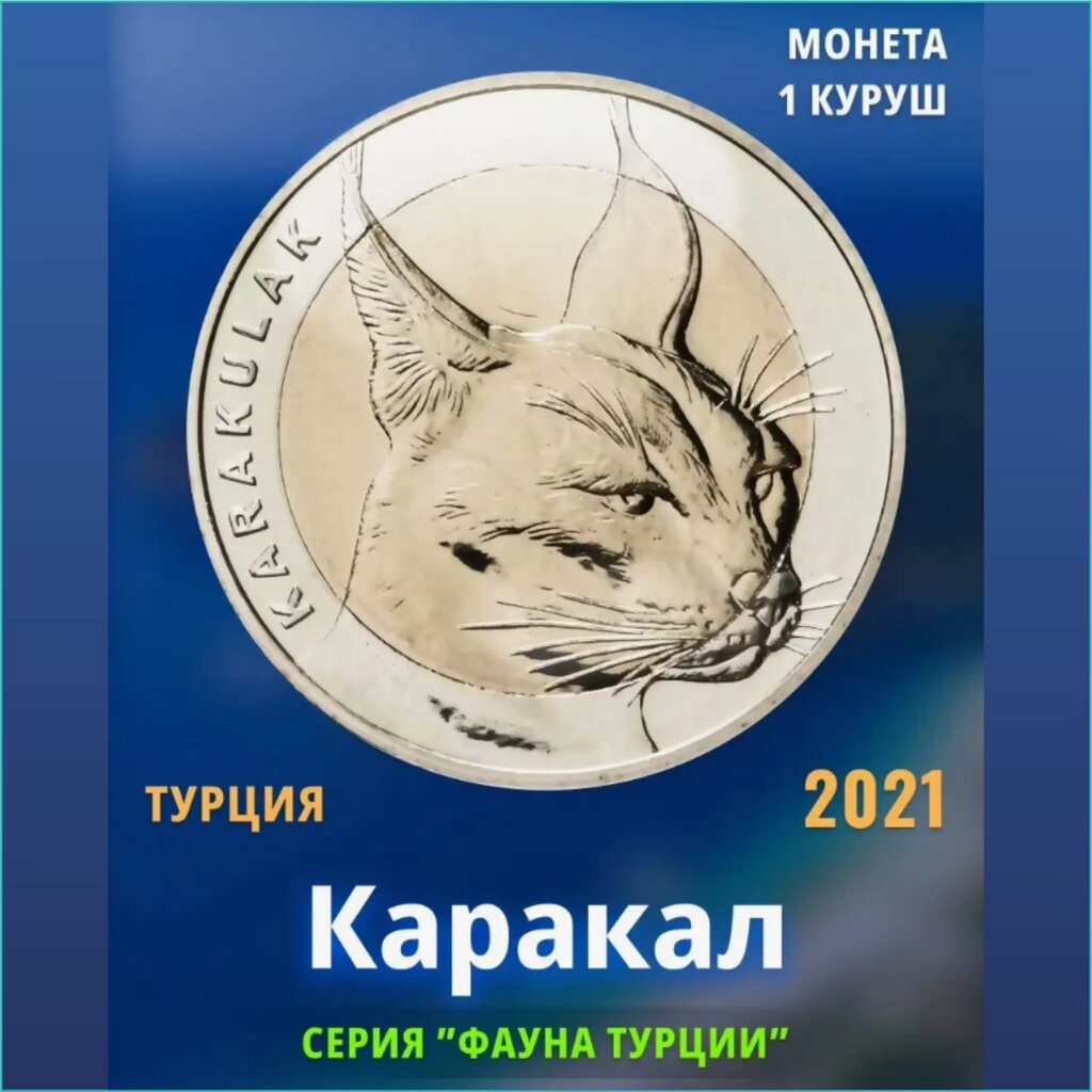 Монета "Каракал" 1 куруш 2021 г. (Турция) от компании L-Shop - фото 1