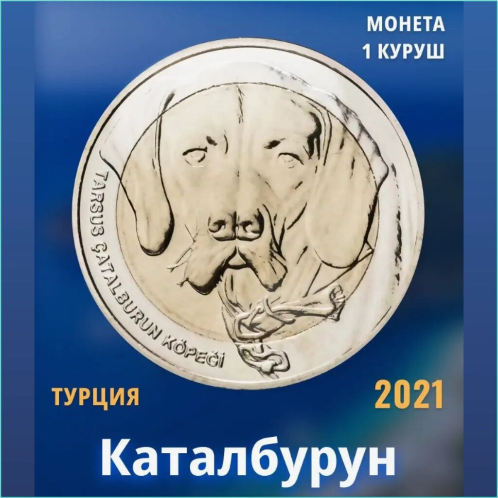 Монета "Каталбурун" 1 куруш 2015 г. (Турция) от компании L-Shop - фото 1