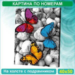 Картина по номерам "Бабочки на камнях" (40х50)