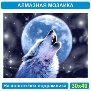 Алмазная мозаика "Волк воет на луну" (30х40 без подрамника)