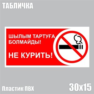 Табличка "Не курить! ПВХ 30х15)
