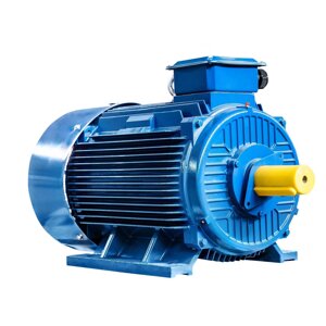 Электродвигатель 5АИ 355 М10 110/600 IM1001